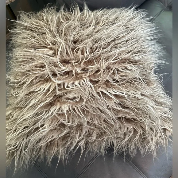 Pottery Barn faux fur pillow & insert - Picture 8 of 16